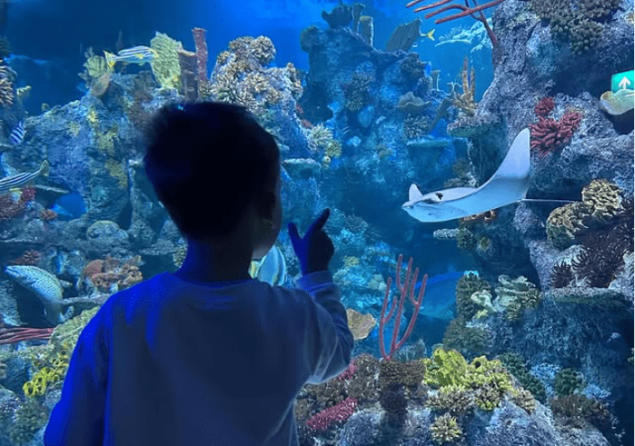 Bristol Aquarium